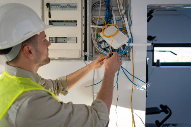 Best Electric Panel Repair  in Holley, FL